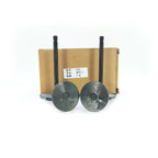 4JG1 Engine Accessories 4JG1 Intake Valve 4JG1 Exhaust Valve ISUZU diesel Engine 8-97131-729-0 8-97043-861-2